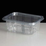 Rectangular Salad Containers with Lids
