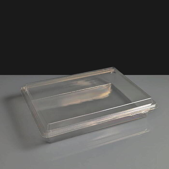 Clear Plastic Nibble Snack or Meal Box with Hinged Lid