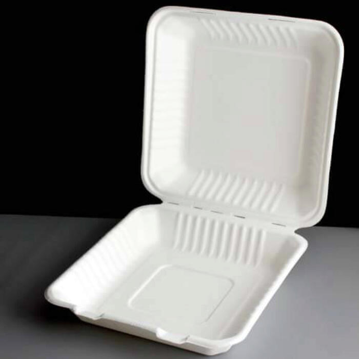 Compostable Bagasse 8 Inch Take Away Meal Box