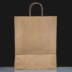 Twisted Handle Brown Paper Bags - 45 x 49cm