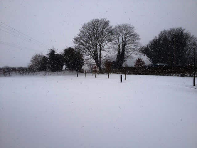 Photo of snow outside warehouse