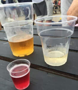 Cowes Plastic Glasses Tasting Glasses