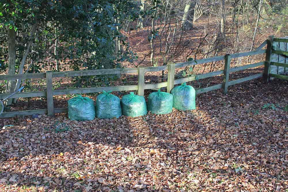 Five bags leaves green sacks