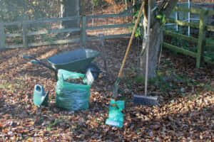 Leaf Composting with Green Sacks