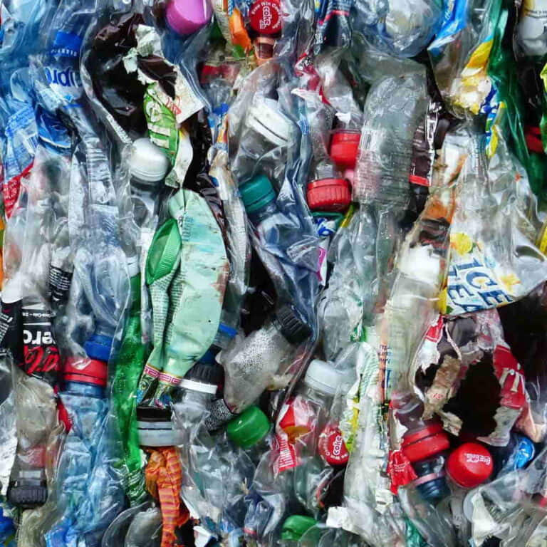Squashed Bottles for Recyling
