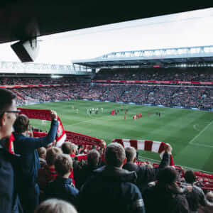 Football Catering Disposables Hospitality