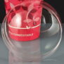 60001 Domed PLA Lids
