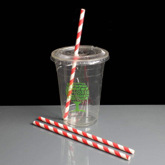 Red and White Striped Paper Straws Red and White Striped Paper Straws