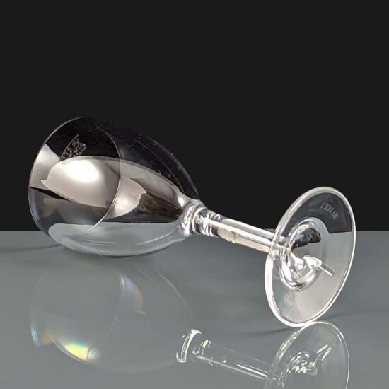 bb109-1ce Plastic wine glasses bb109-1ce Plastic wine glasses
