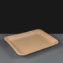 KP Infinity Meat Trays 14D