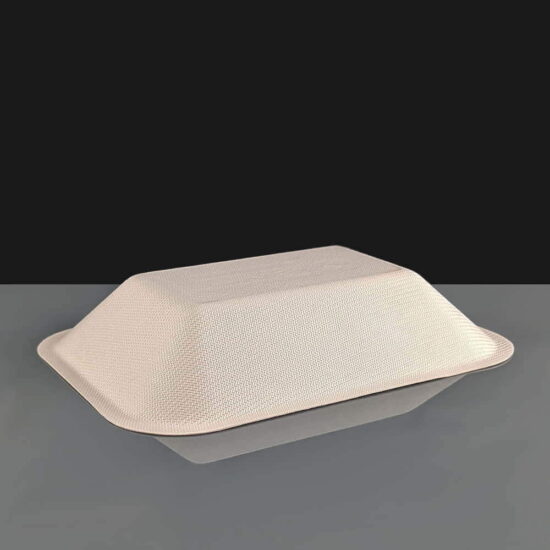 Small Bagasse Chip Trays Small Bagasse Chip Trays