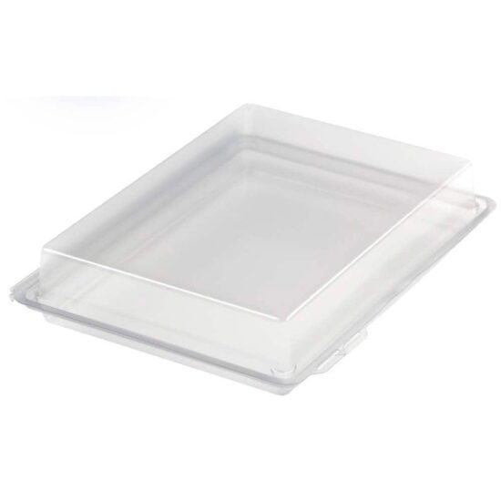 Nibble Snack Box 3 Compartment Insert