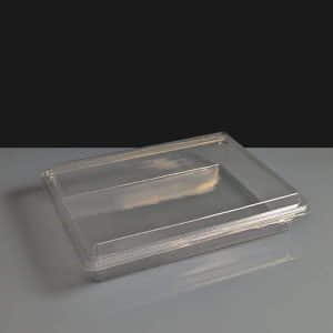 Nibble Snack or Meal Box with Hinged Lid