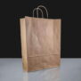 Twisted Handle Paper Bags - Brown Large