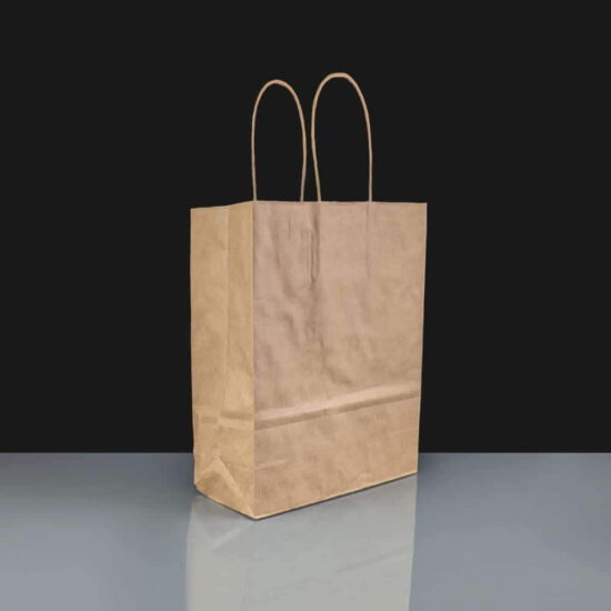 Small Twisted Handle Paper Bag - Brown 