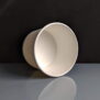16oz Compostable Paper Soup Containers angle