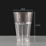 10oz Celebrity Plastic Glass
