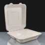 Compostable Square Meal Box - 3 Compartment