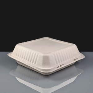 Compostable Square Meal Box 