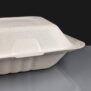 Compostable Fish and Chips Boxes
