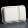 24oz Compostable WorldView Sugarcane Take Away Containers