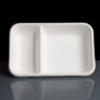 Bagasse tray with optional lid