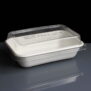 Bagasse tray with optional lid