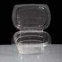 250cc Clear - Fresco Hinged Salad Container Front