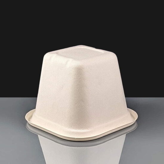 Home Compostable Takeaway Container 630ml Home Compostable Takeaway Container 630ml
