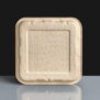 Home Compostable Bagasse Produce Tray 5x7