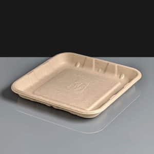 Home Compostable Bagasse Produce Tray 5x5