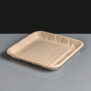 Home Compostable Bagasse Produce Tray 5x5