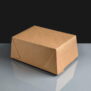 Biodegradable Leak-Proof Food Cartons No.4 - 98oz