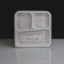 Clear 3 Compartment Rectangular Plastic Container and Lid