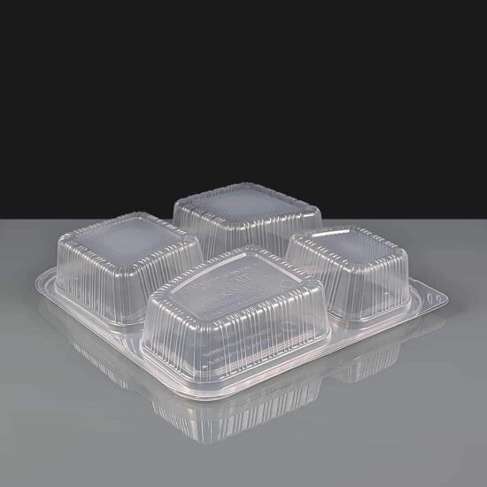 Clear 4 Compartment Rectangular Plastic Container and Lid Clear 4 Compartment Rectangular Plastic Container and Lid