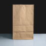 FG5 Large Kraft Grab Bag - Upright