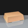 Large Food To Go Taste Boxes - Brown - 48oz