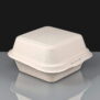 Biodegradable Burger Box
