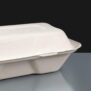 Compostable Kebab / Burger and Chips Box 