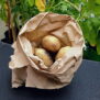 PB/BK10 - 250 x 250mm Brown Paper Bag 