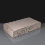 Corrugated Medium Printed Fish and Chips Boxes