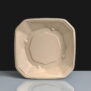 Home Compostable Bagasse Produce Tray 5x6