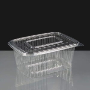 1500 Clear - Hinged Salad Container Closed
