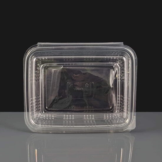 B340 - Crystal 2000 Clear - Hinged Salad Container Open B340 - Crystal 2000 Clear - Hinged Salad Container Open