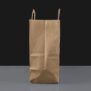 TA/KL - Large Handled Paper Bag - Side view with can