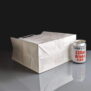 TA/KLW - White Large Handled Paper Bags