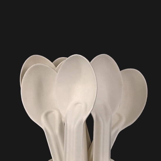 Bagasse Spoons Bagasse Spoons