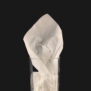 32cm White 2ply Paper Napkin