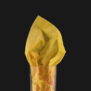 2pl Yellow Napkin
