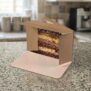 10325 Large Cardboard Cake Wedge